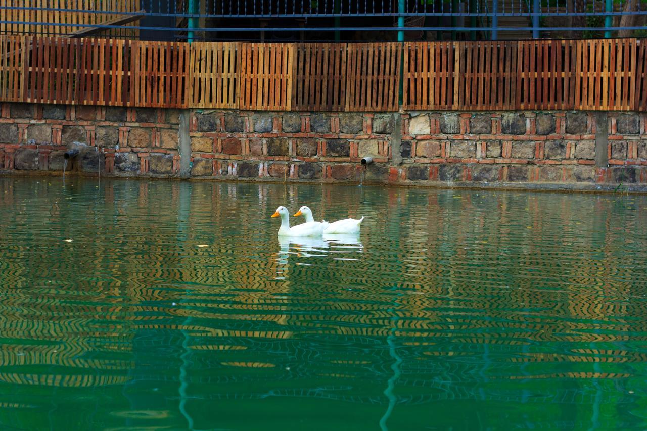 Amiran'S Lake Тбилиси Экстерьер фото
